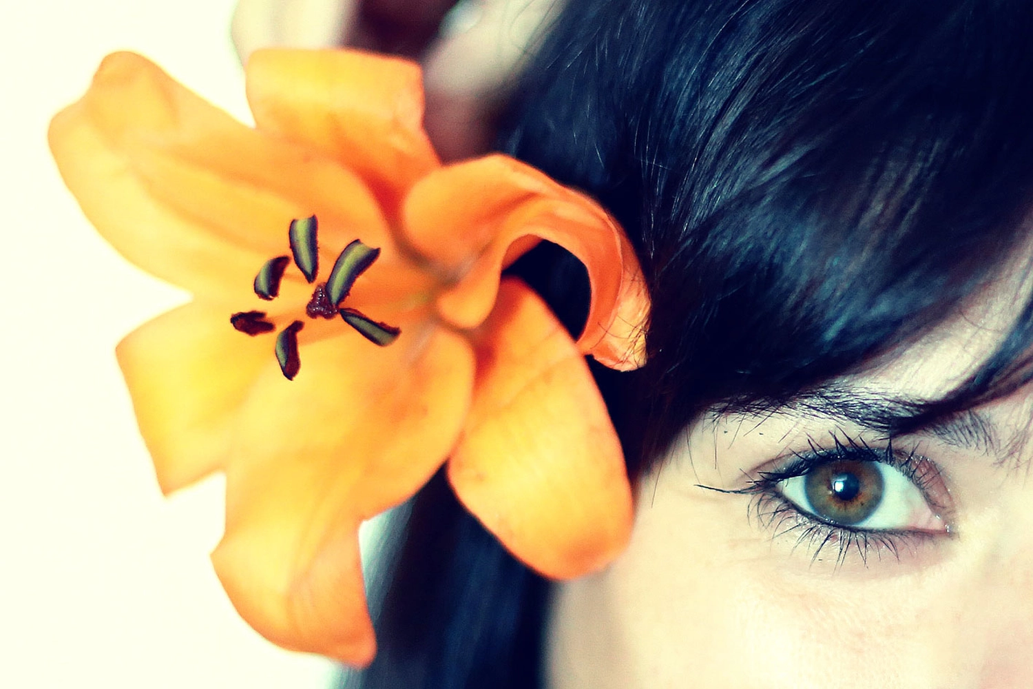 Steffotografie – Fotografie - Blümchenprojekt