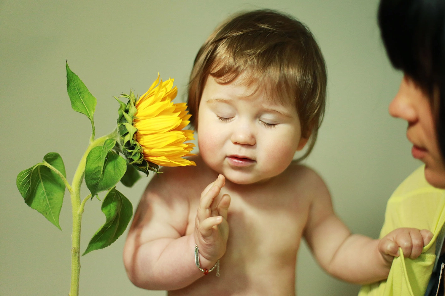 Steffotografie – Fotografie - Blümchenprojekt