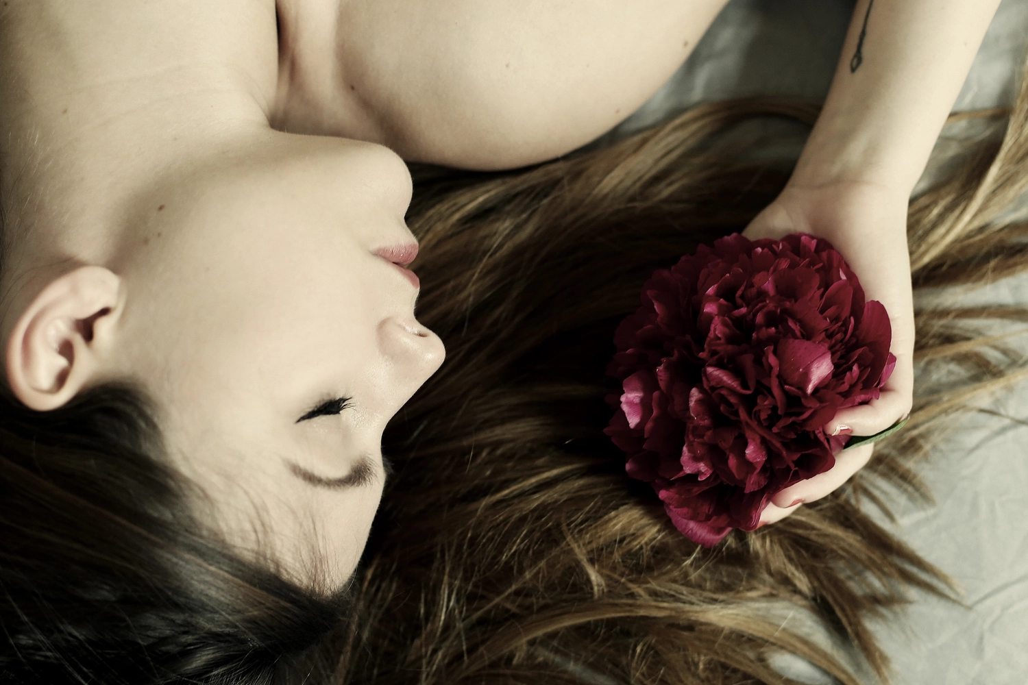 Steffotografie – Fotografie - Blümchenprojekt