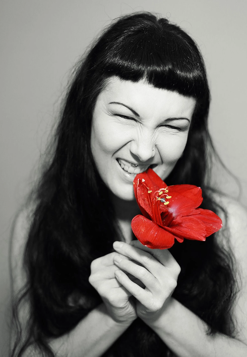 Steffotografie – Fotografie - Blümchenprojekt