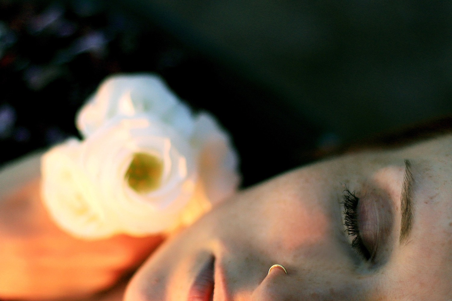 Steffotografie – Fotografie - Blümchenprojekt