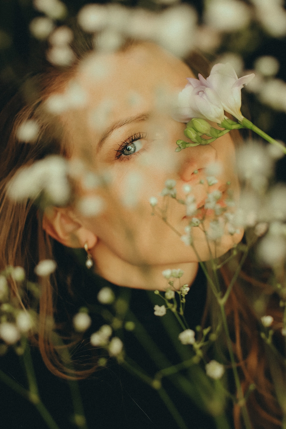 Steffotografie – Fotografie - Blümchenprojekt