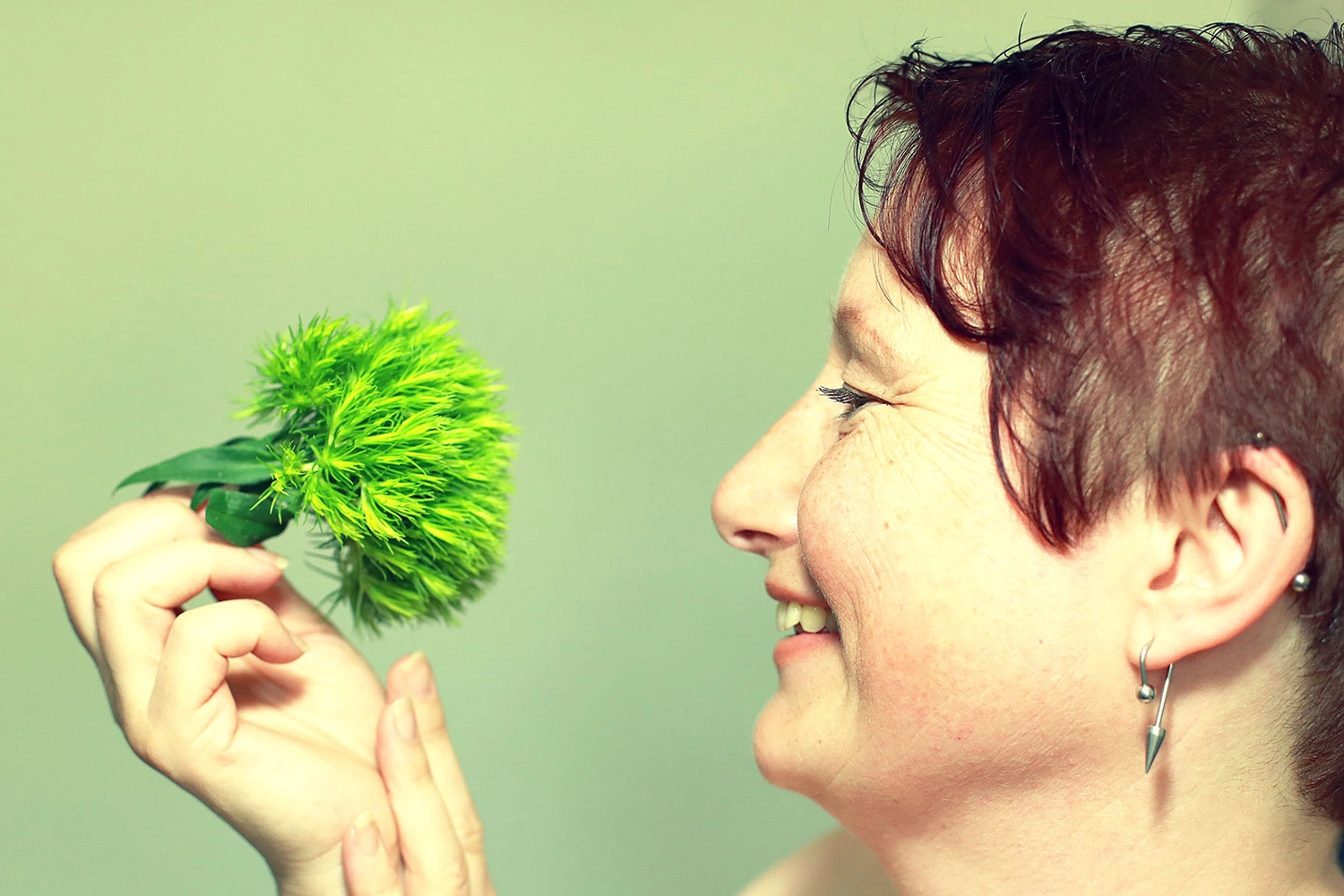 Steffotografie – Fotografie - Blümchenprojekt