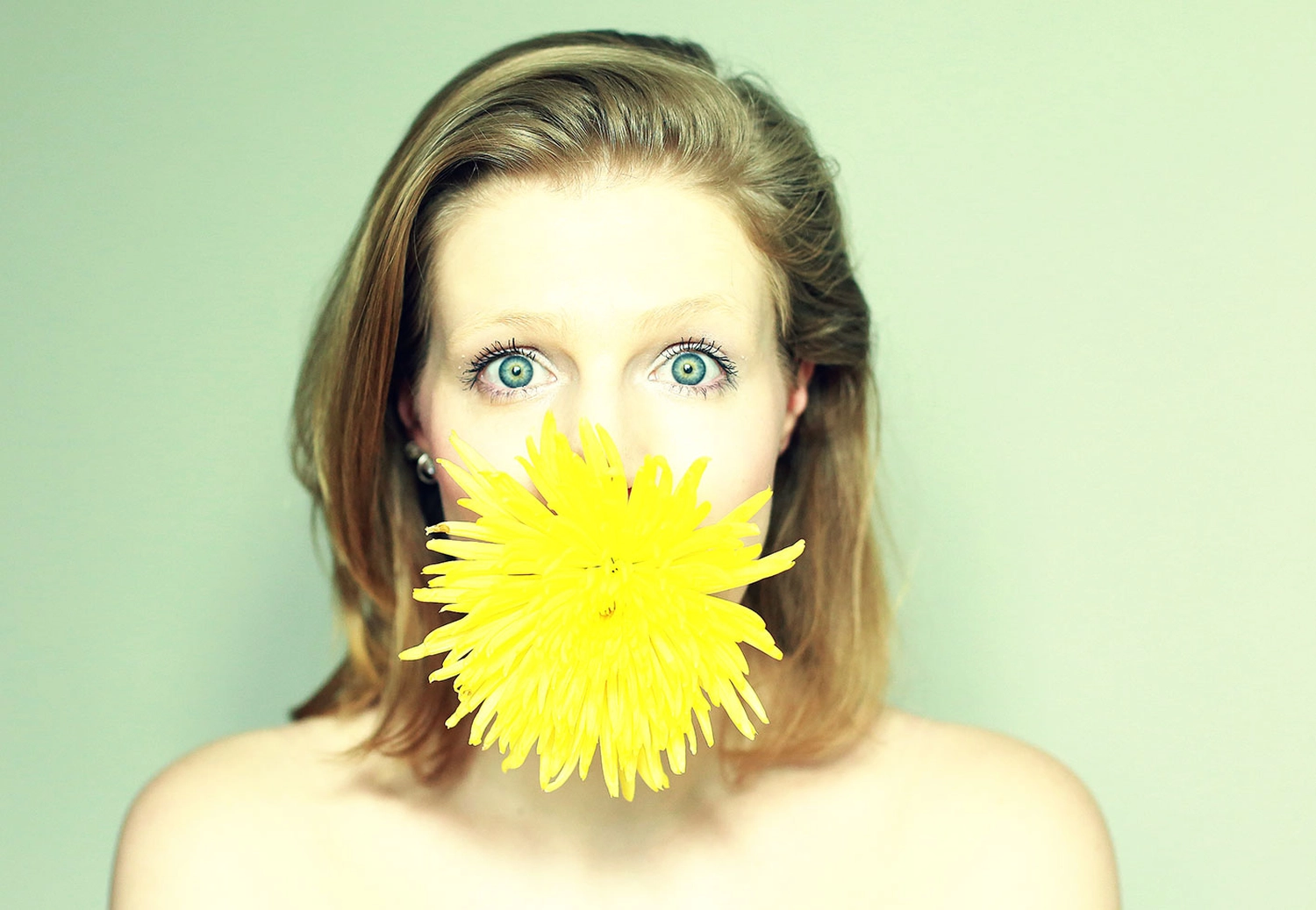 Steffotografie – Fotografie - Blümchenprojekt