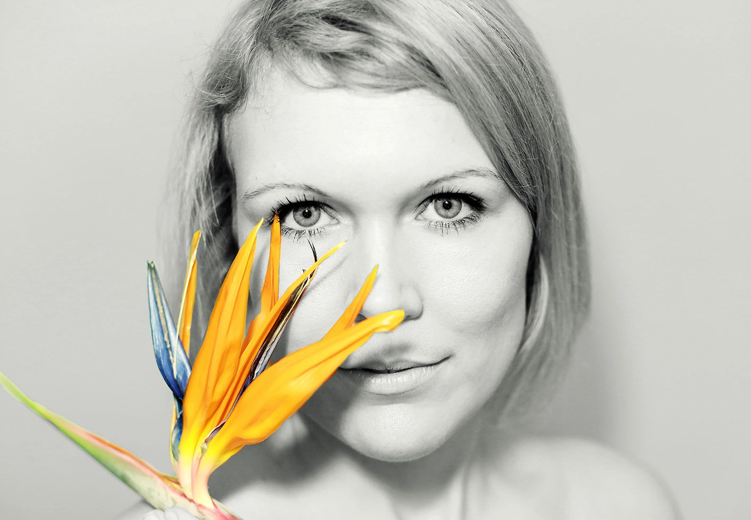 Steffotografie – Fotografie - Blümchenprojekt