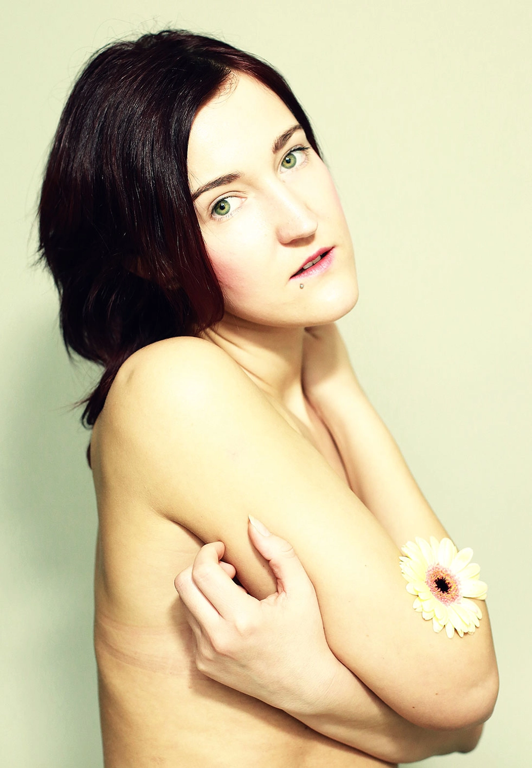 Steffotografie – Fotografie - Blümchenprojekt