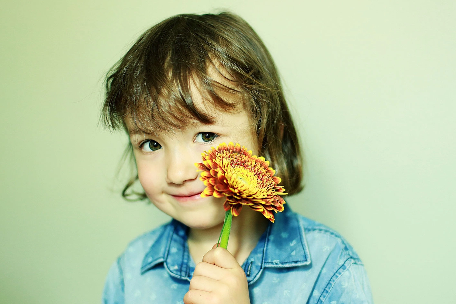 Steffotografie – Fotografie - Blümchenprojekt