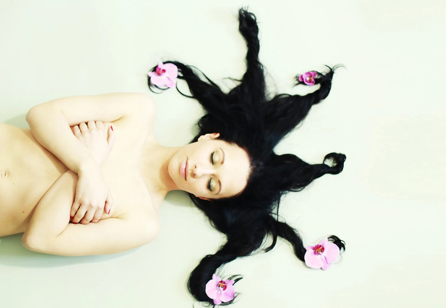 Steffotografie – Fotografie - Blümchenprojekt