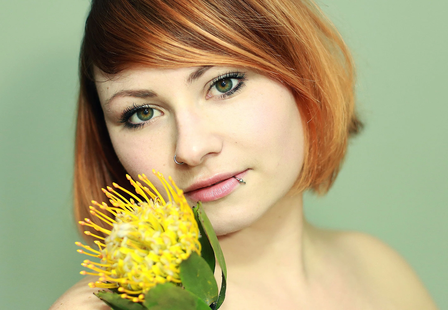 Steffotografie – Fotografie - Blümchenprojekt