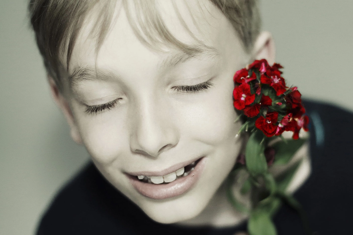 Steffotografie – Fotografie - Blümchenprojekt