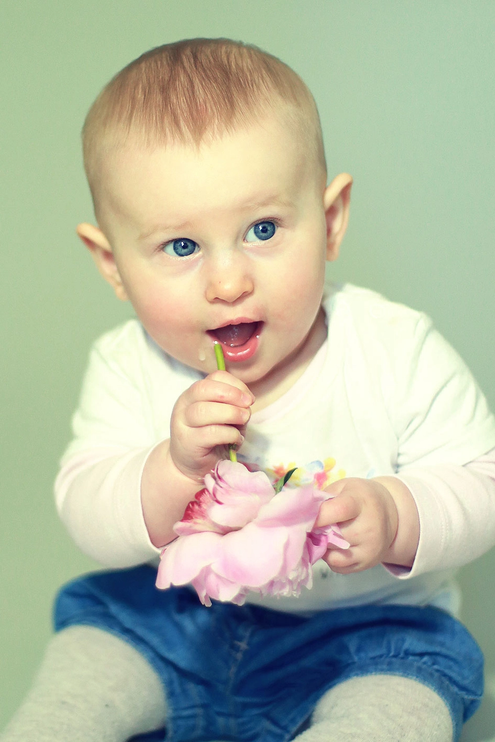 Steffotografie – Fotografie - Blümchenprojekt