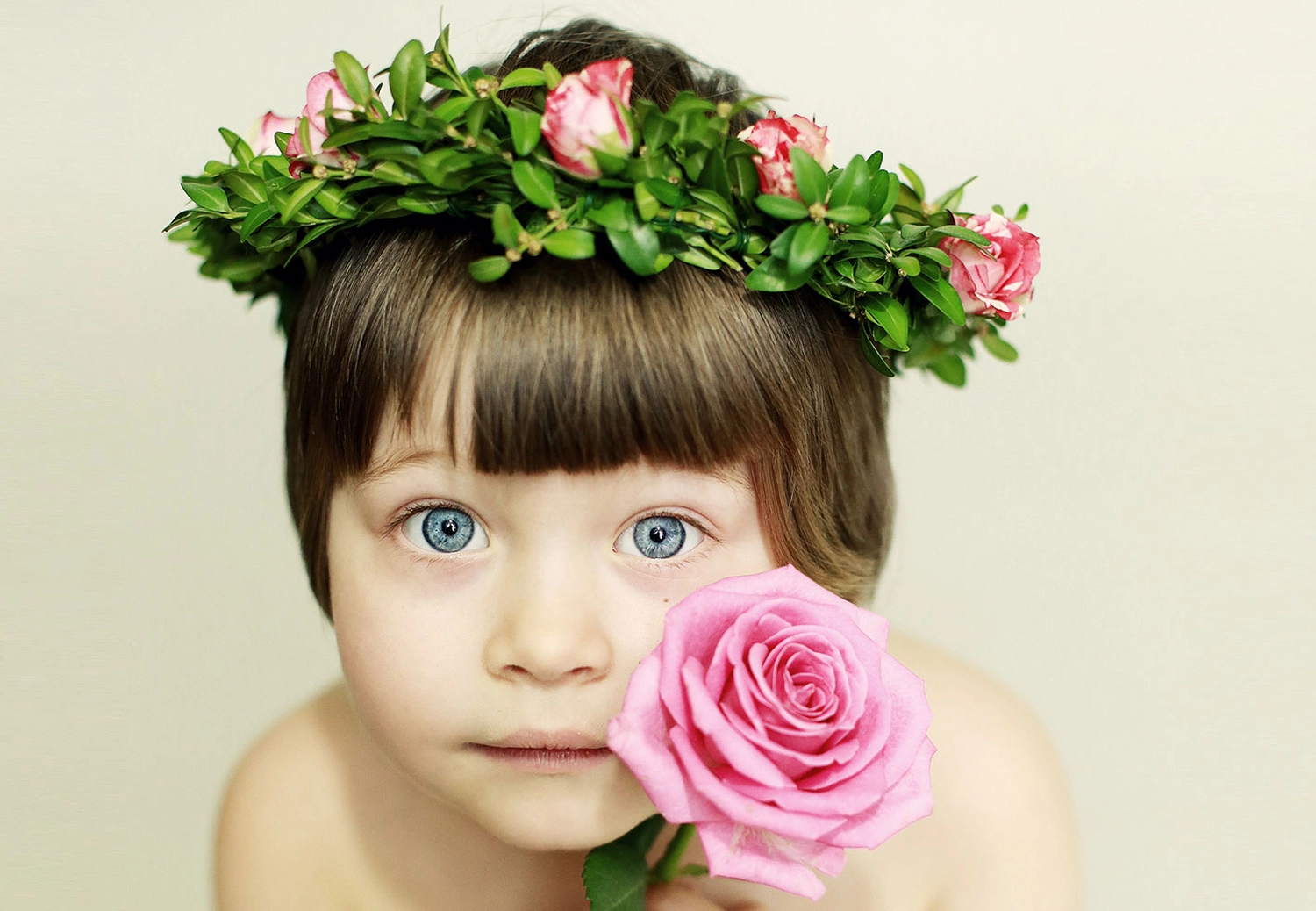 Steffotografie – Fotografie - Blümchenprojekt