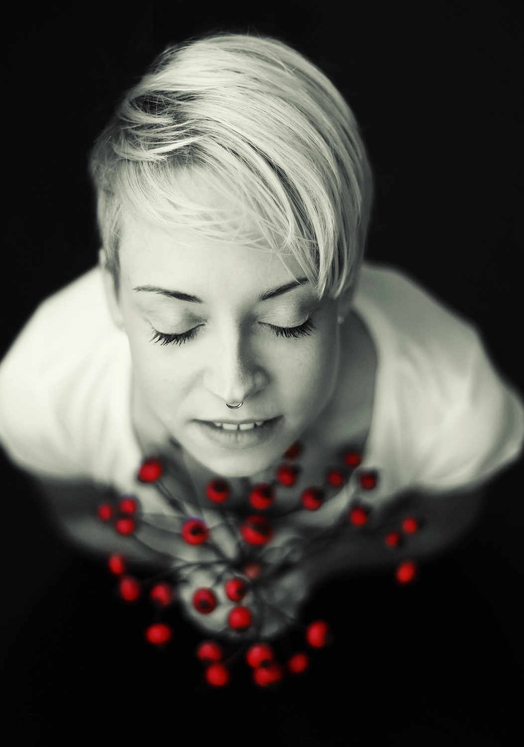 Steffotografie – Fotografie - Blümchenprojekt