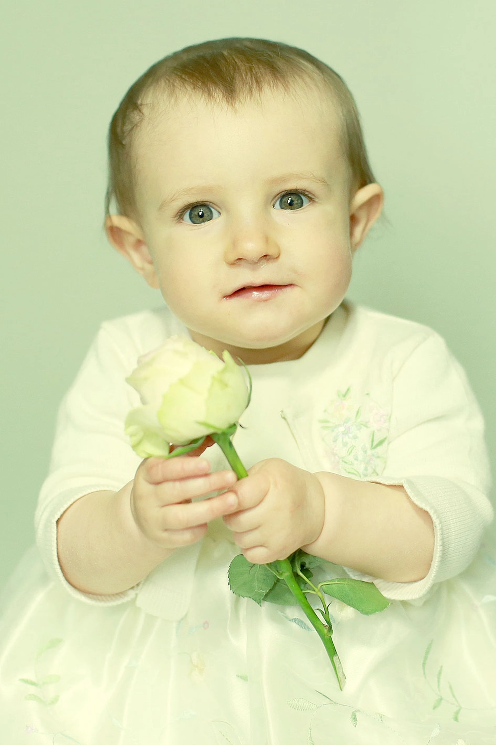 Steffotografie – Fotografie - Blümchenprojekt