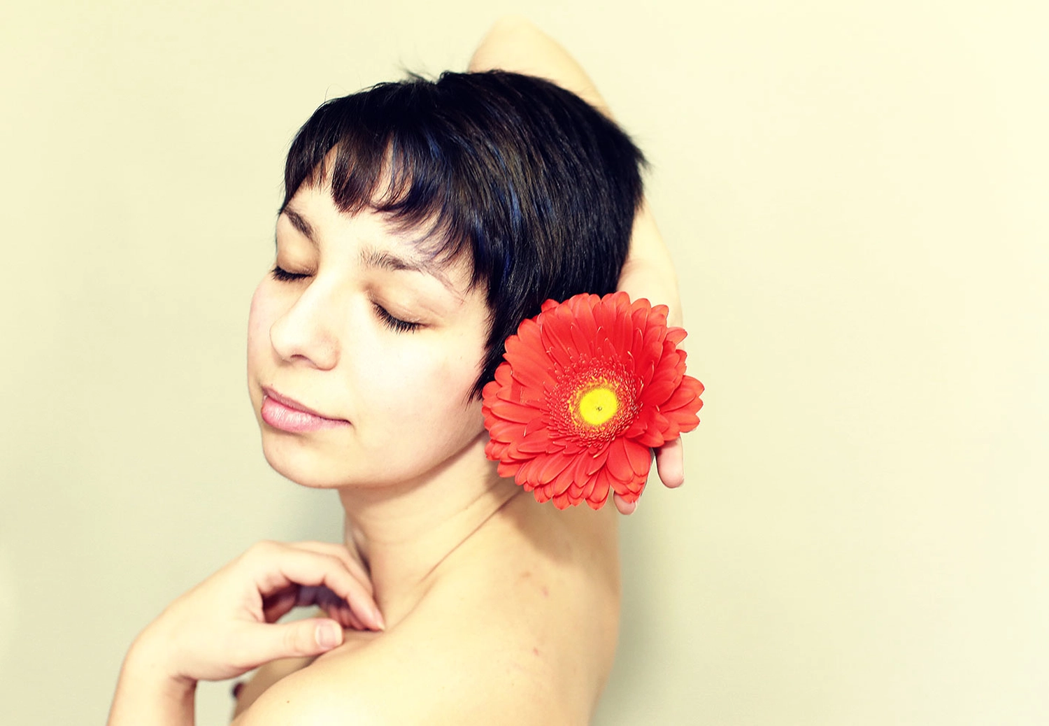 Steffotografie – Fotografie - Blümchenprojekt