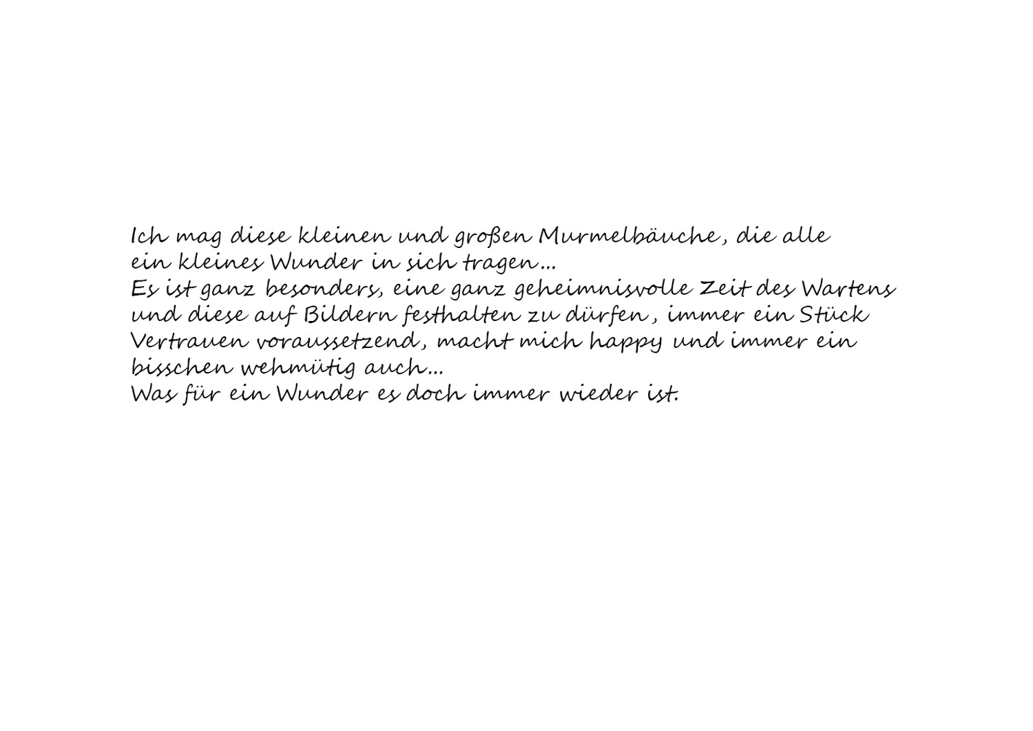 Steffotografie – Fotografie