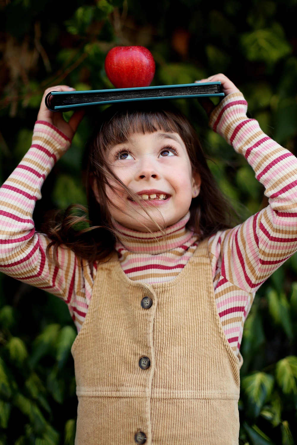 Steffotografie – Fotografie