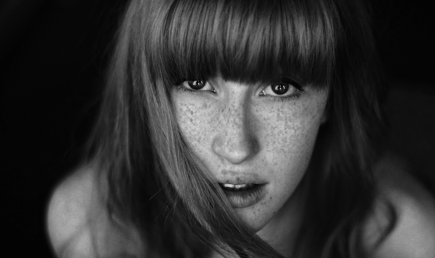 Steffotografie – Fotografie