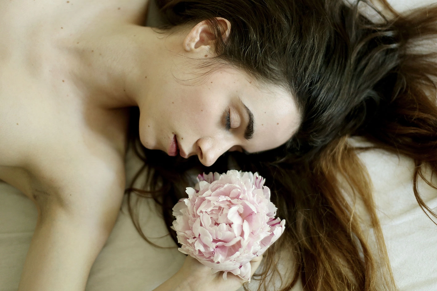 Steffotografie – Fotografie - Blümchenprojekt