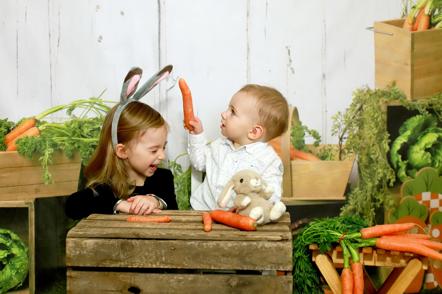 Steffotografie – Fotografie