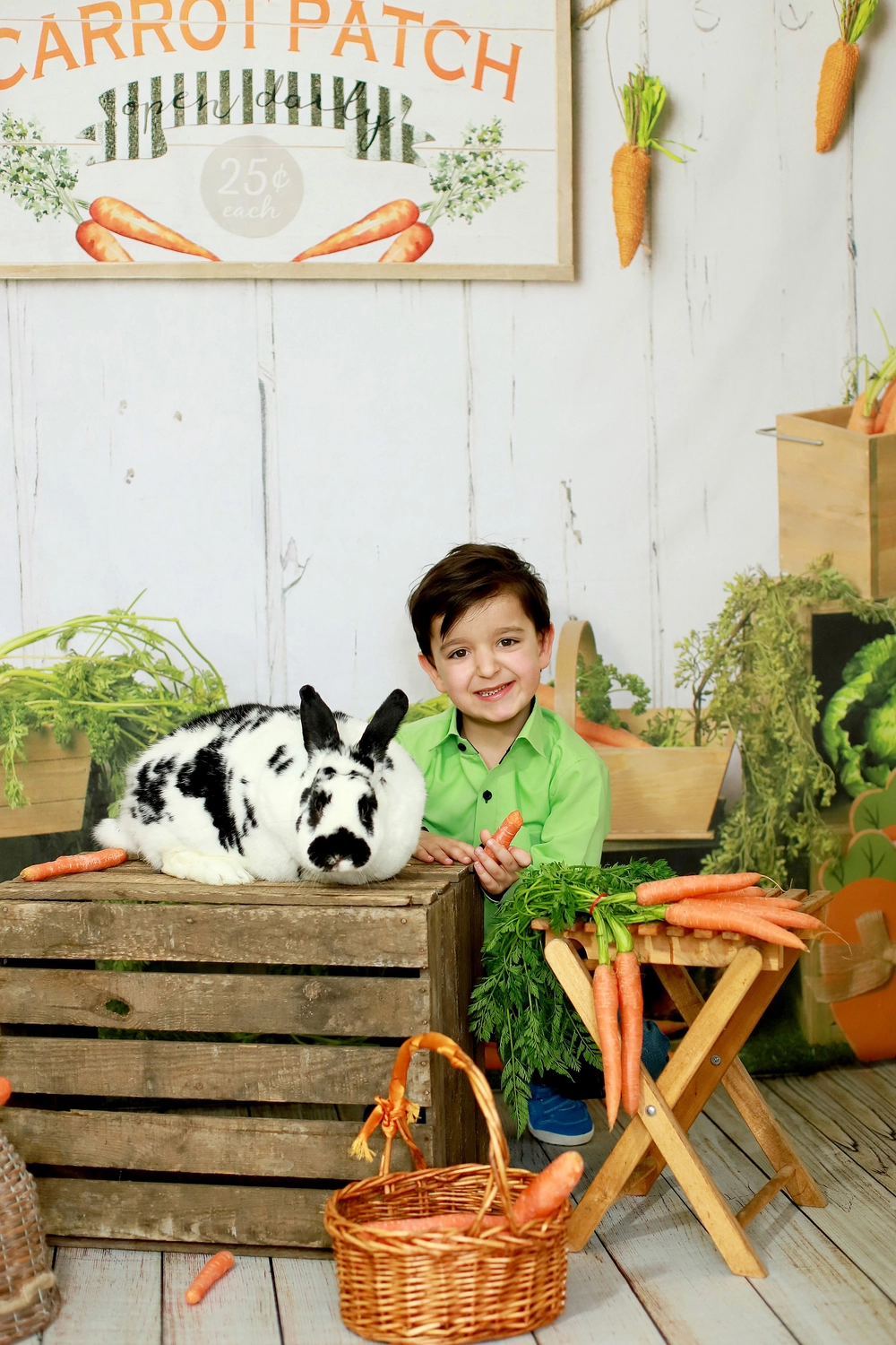 Steffotografie – Fotografie