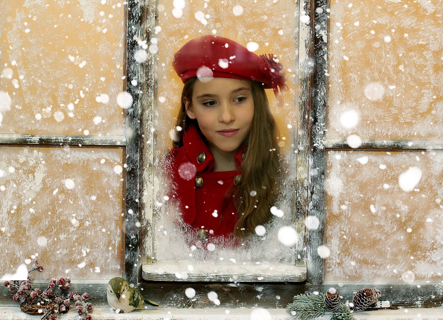 Steffotografie – Fotografie – Weihnachtsminis