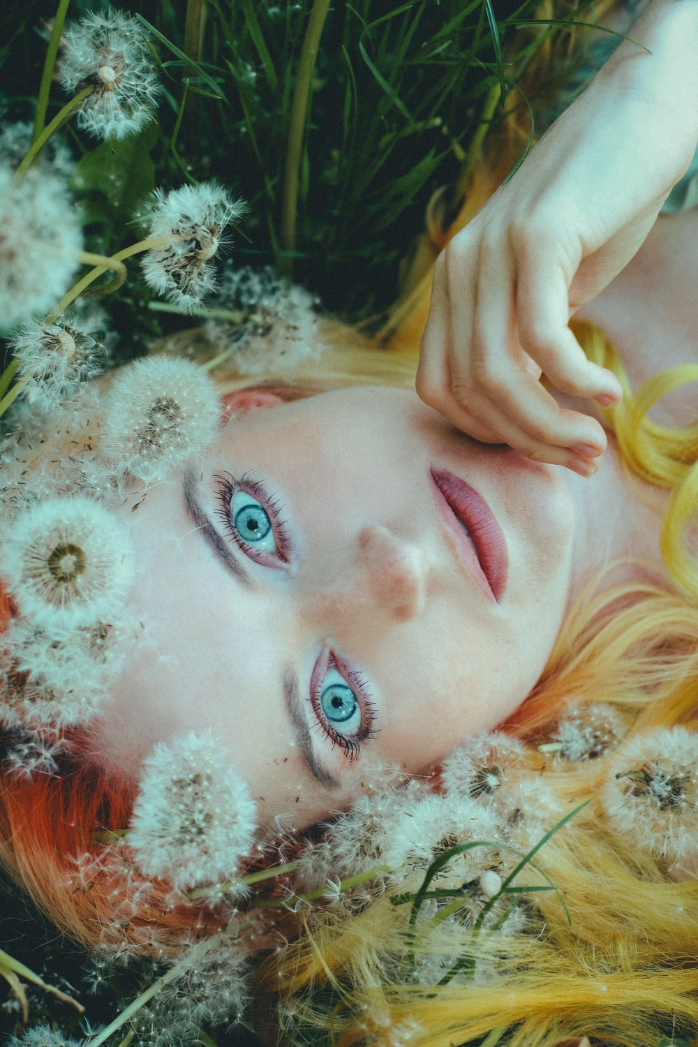 Steffotografie – Fotografie