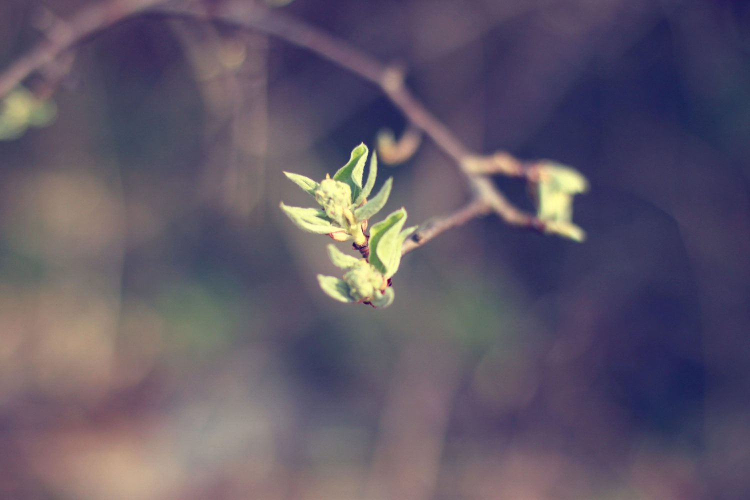 Steffotografie – Fotografie