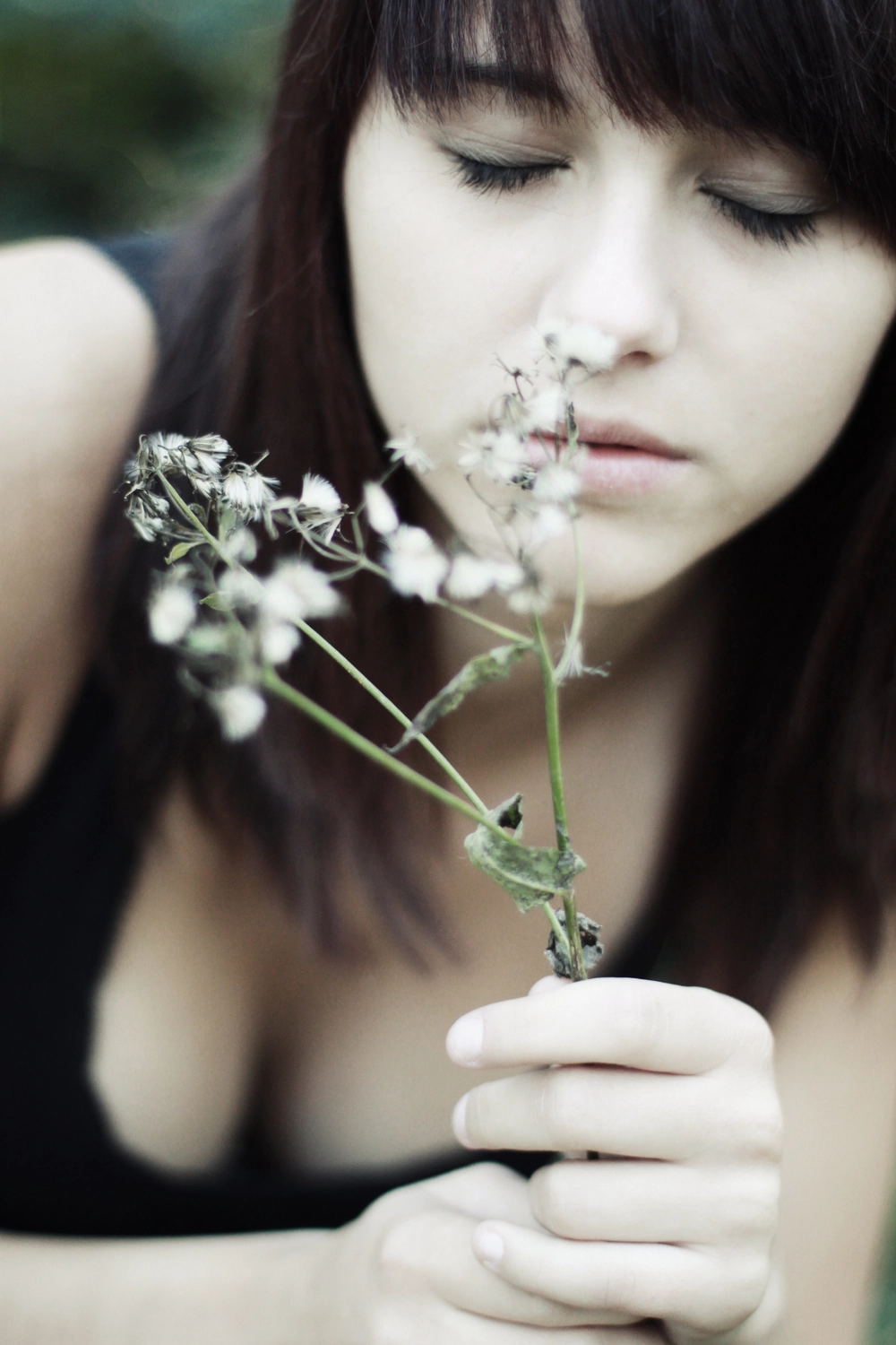 Steffotografie – Fotografie