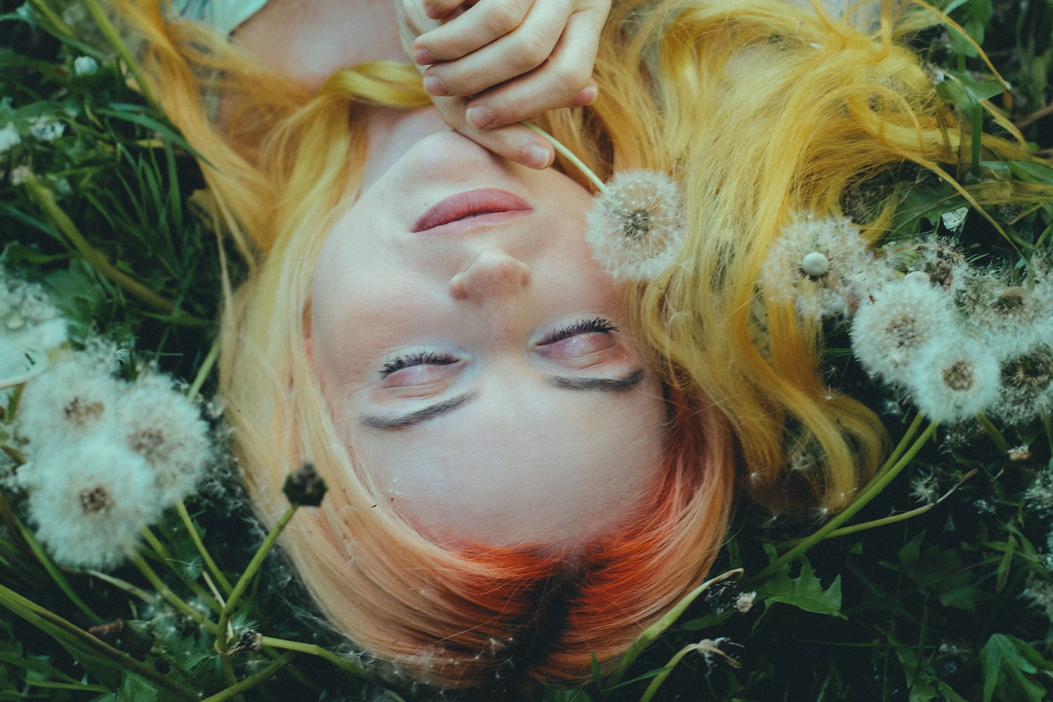 Steffotografie – Fotografie