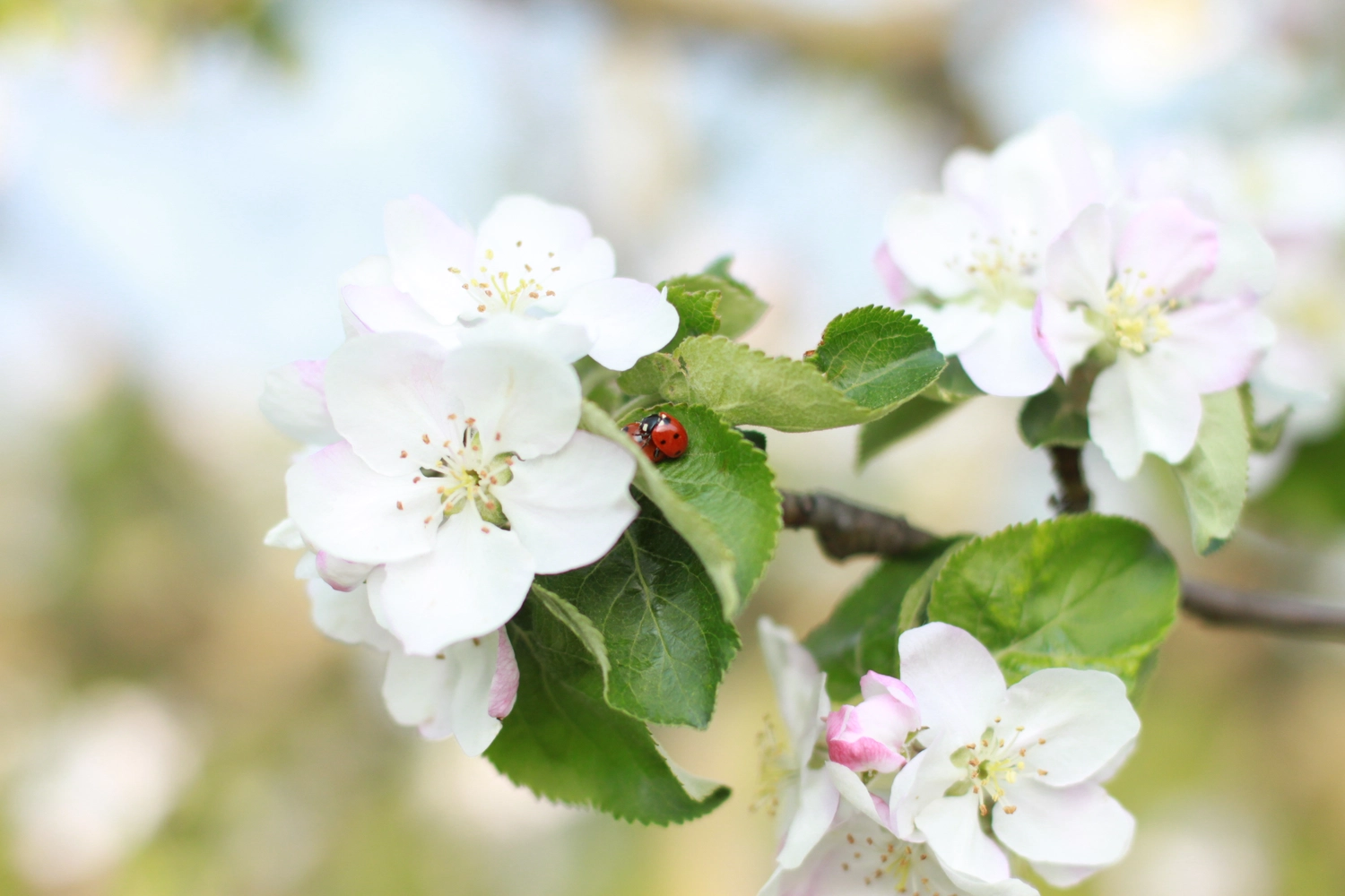 Steffotografie – Fotografie