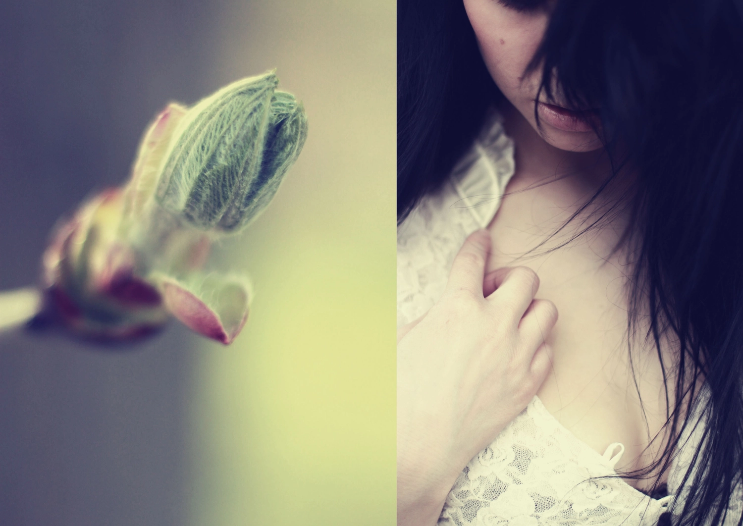 Steffotografie – Fotografie