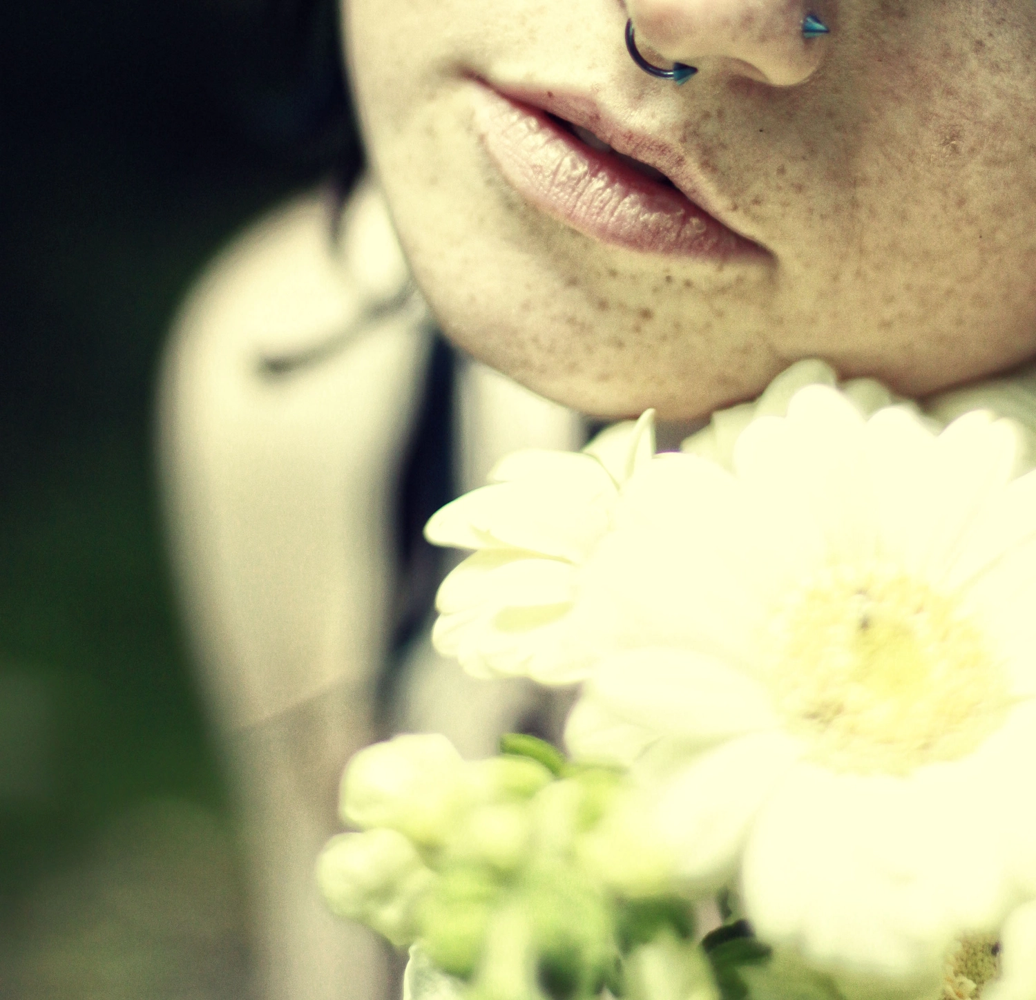 Steffotografie – Fotografie