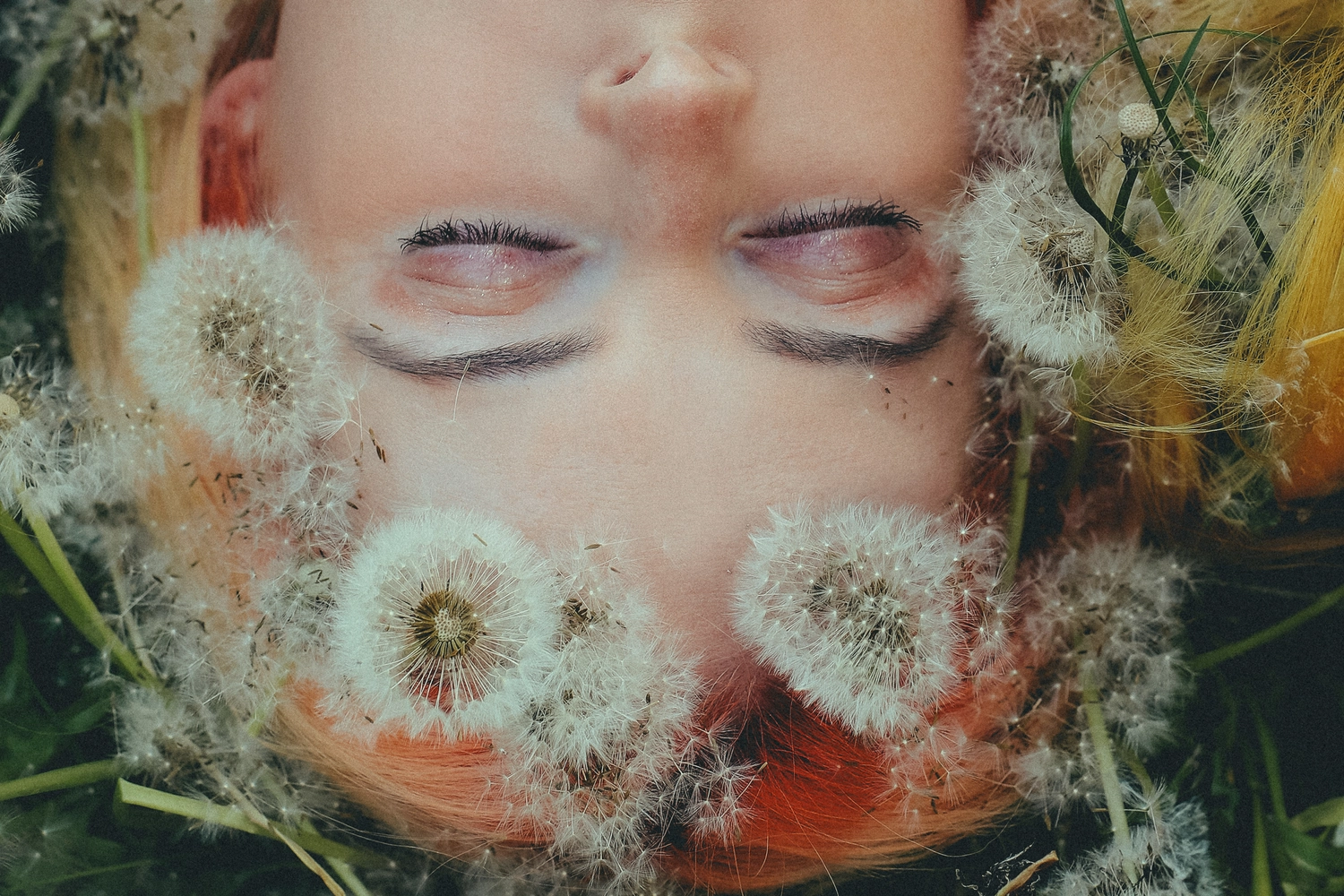 Steffotografie – Fotografie