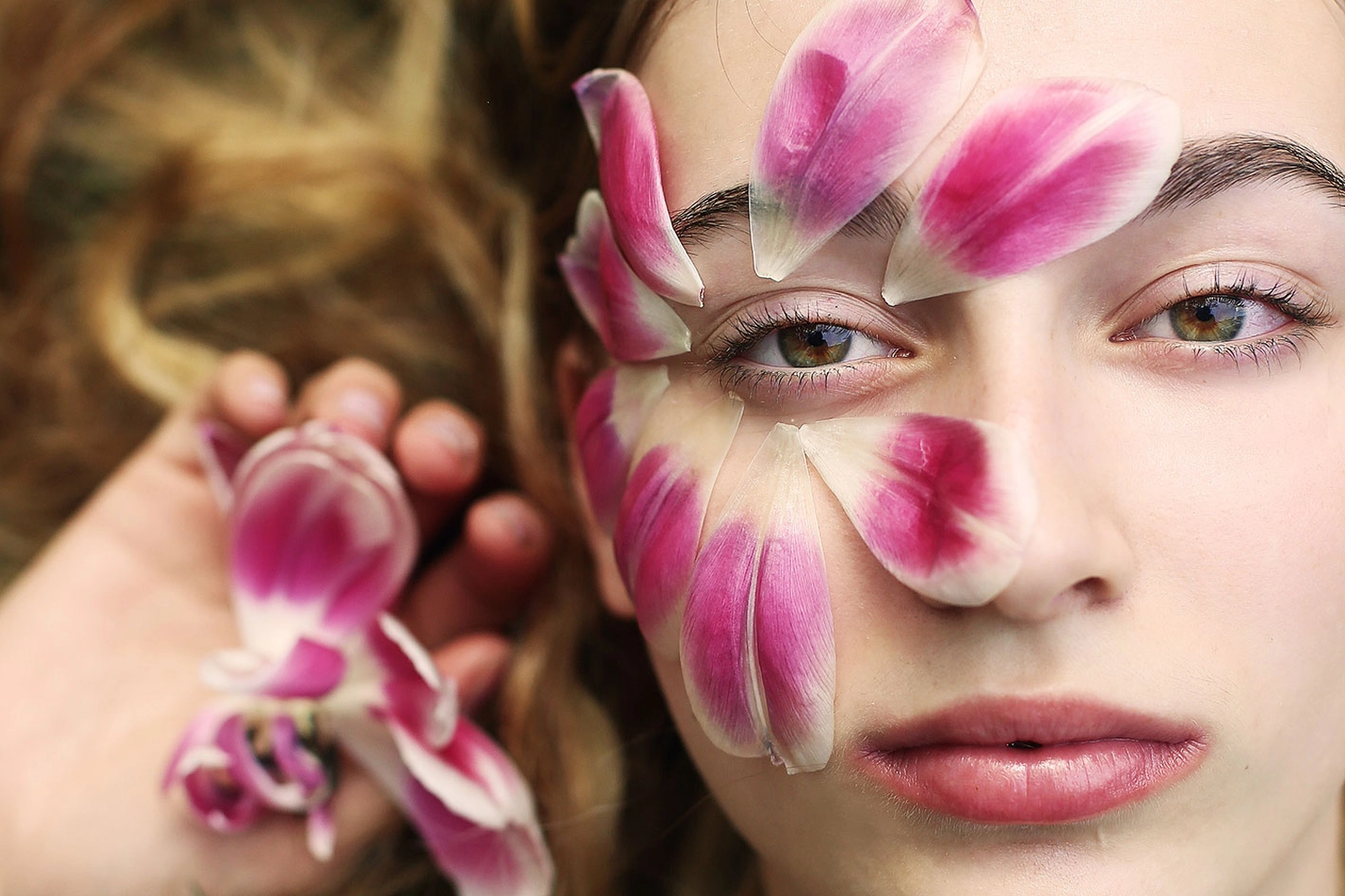 Steffotografie – Fotografie