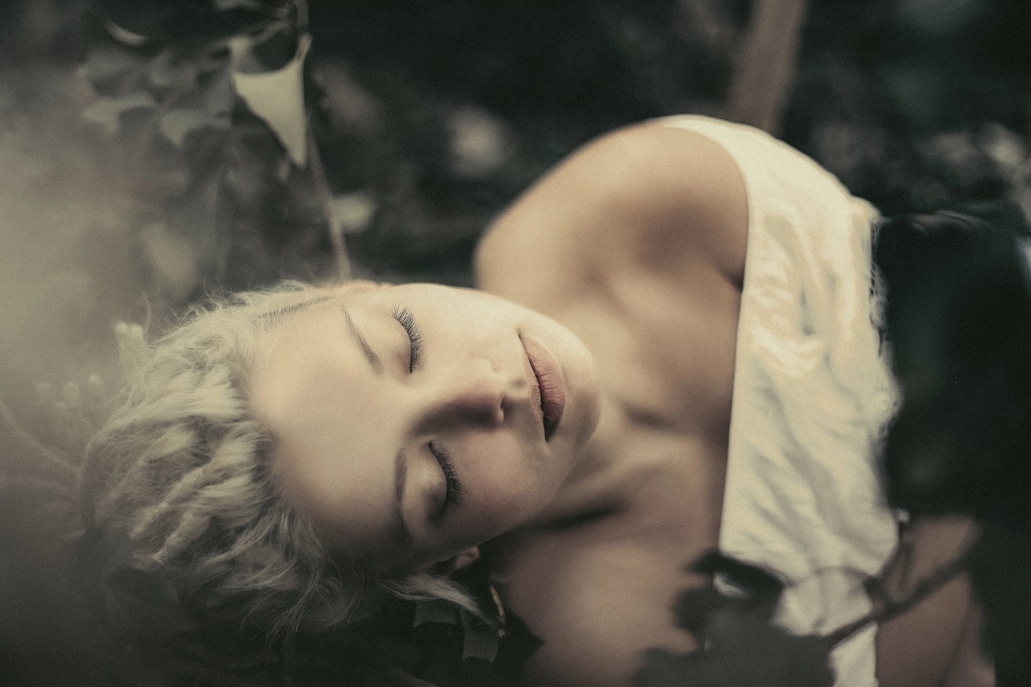 Steffotografie – Fotografie