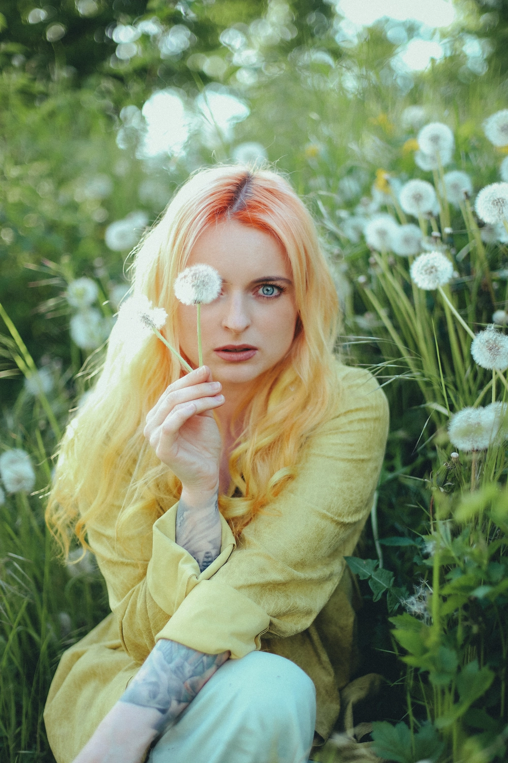 Steffotografie – Fotografie