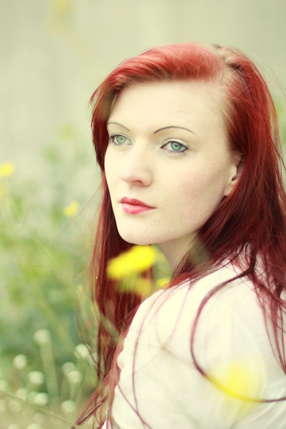 Steffotografie – Fotografie