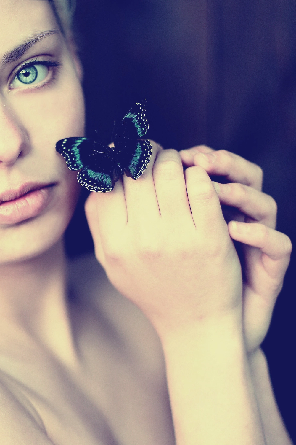 Steffotografie – Fotografie