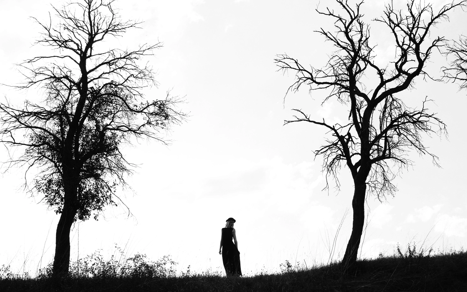 Steffotografie – Fotografie