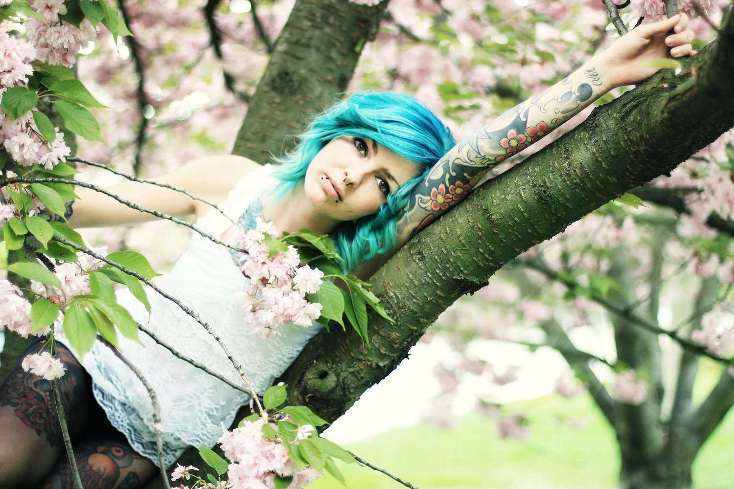 Steffotografie – Fotografie