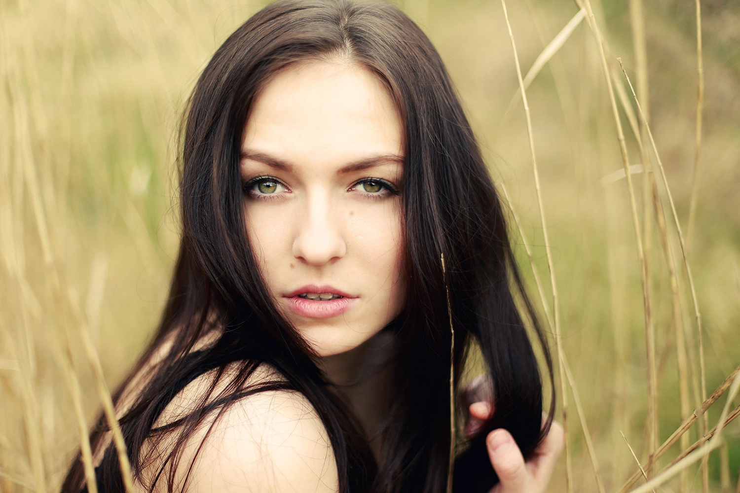 Steffotografie – Fotografie