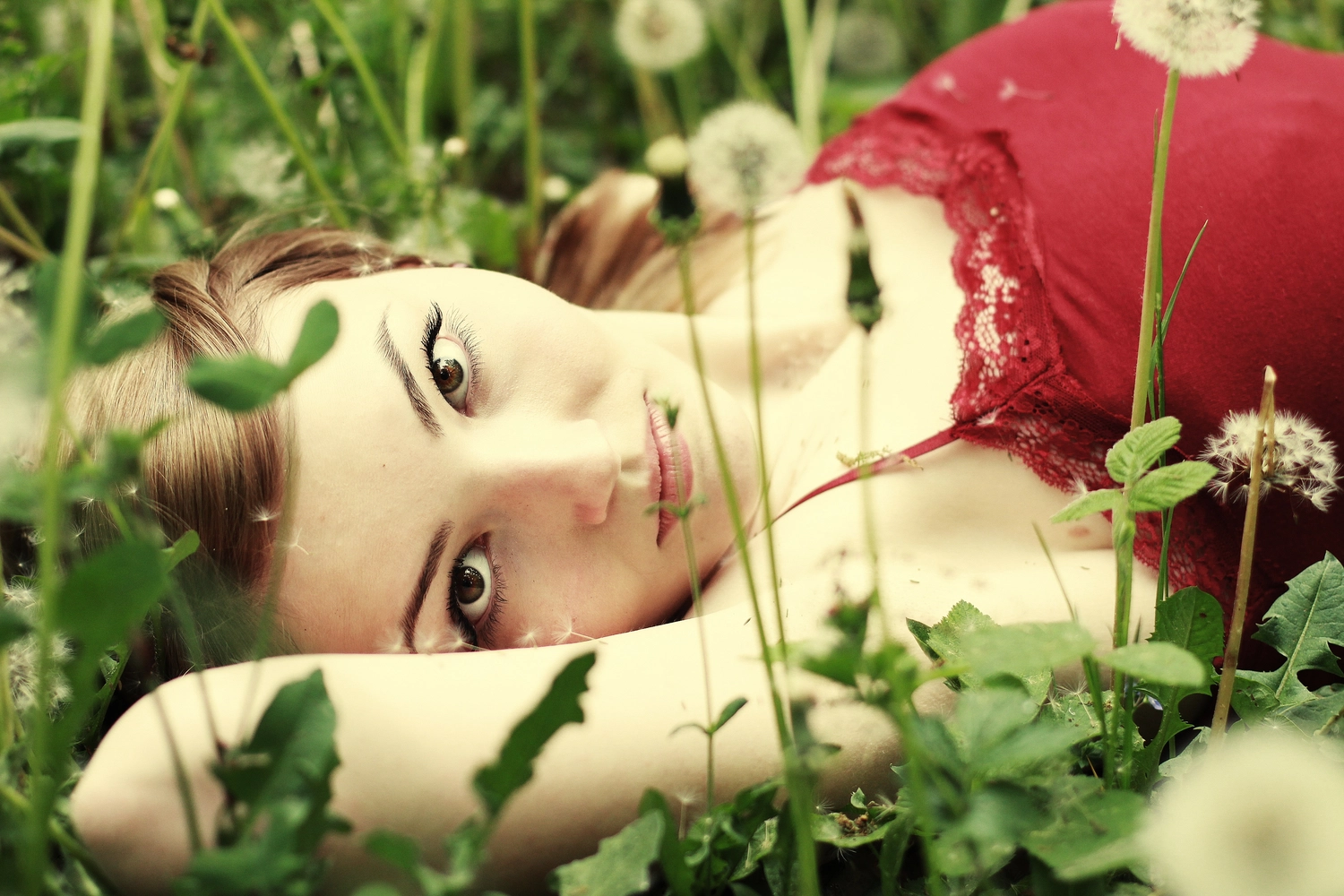 Steffotografie – Fotografie