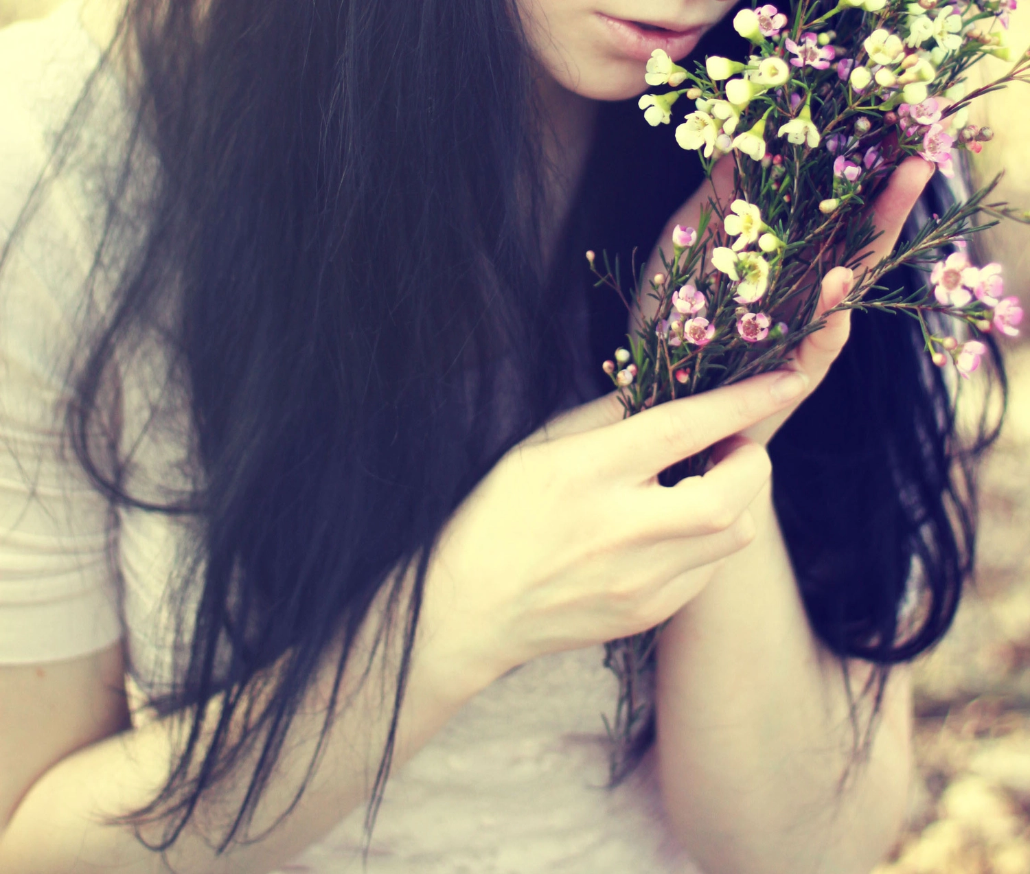 Steffotografie – Fotografie