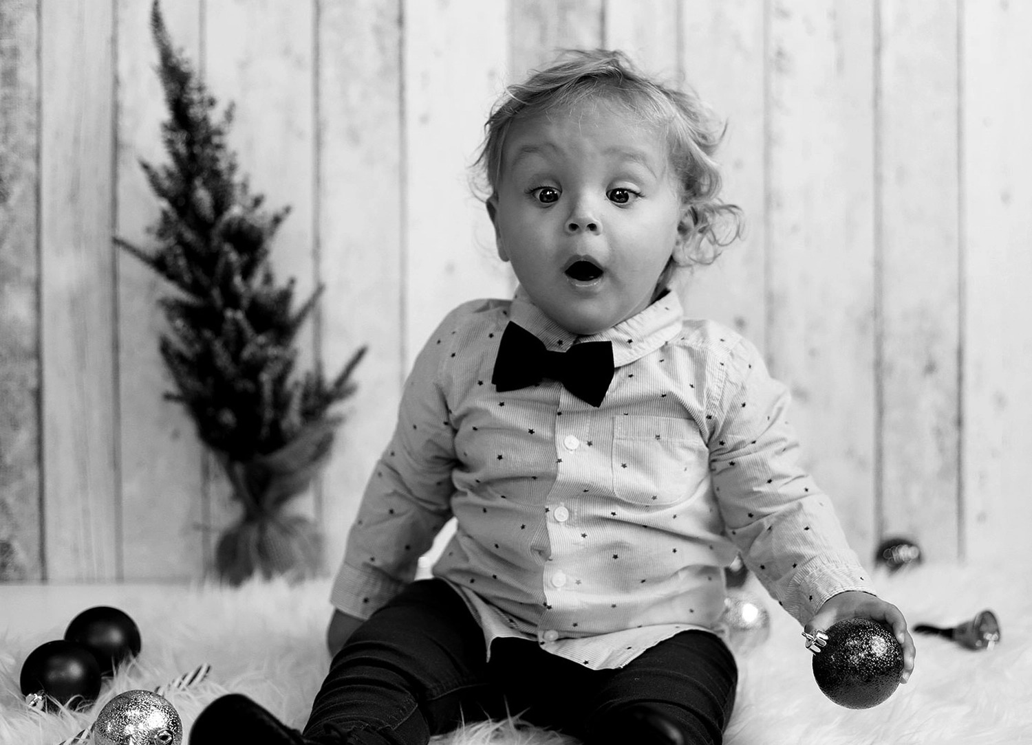 Steffotografie – Fotografie – Weihnachtsminis