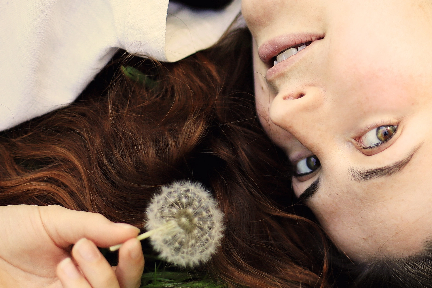 Steffotografie – Fotografie