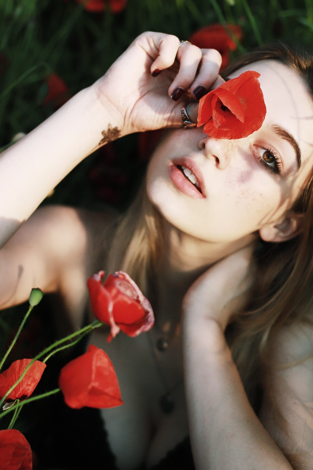 Steffotografie – Fotografie