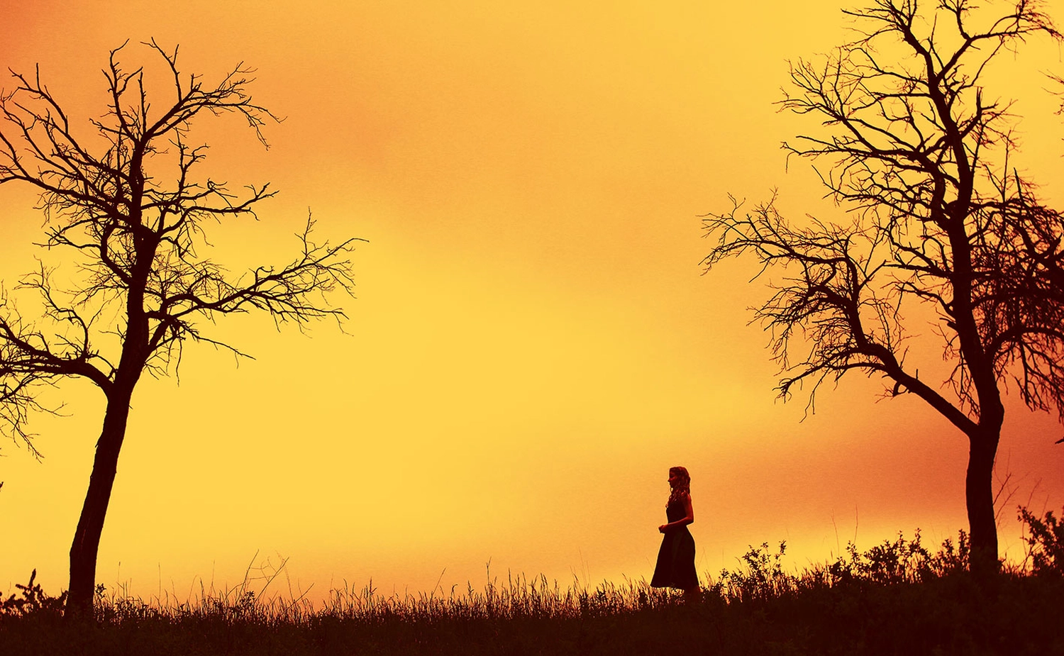 Steffotografie – Fotografie