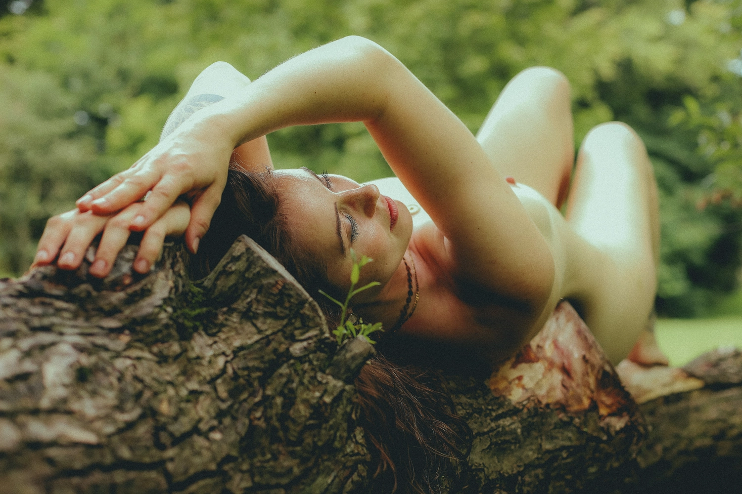 Steffotografie – Fotografie