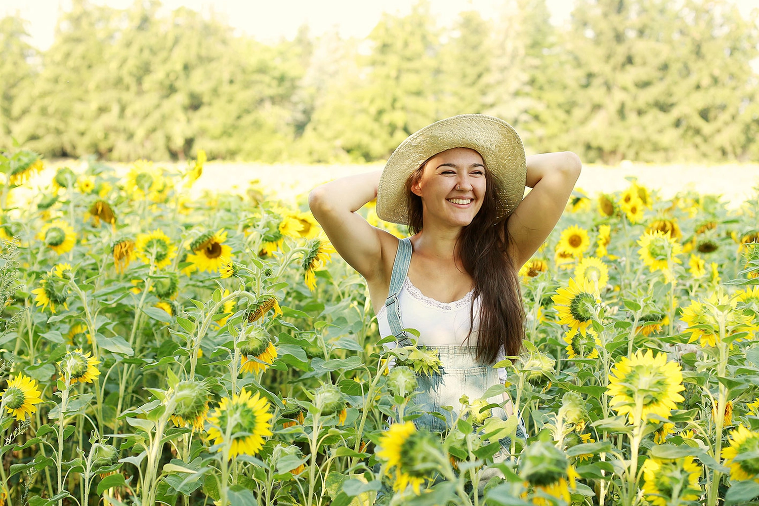 Steffotografie – Fotografie